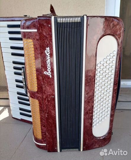Аккордеон 