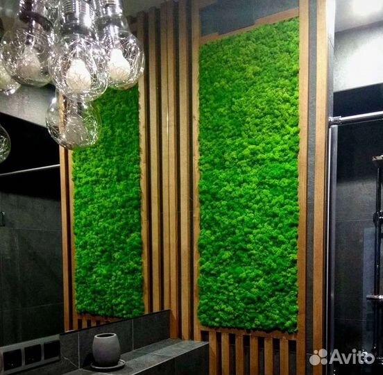 Мох стабилизированный в интерьере