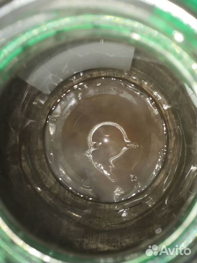 Чайный Гриб комбуча в банках