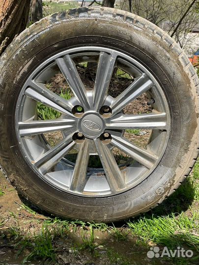 Accelera RHO 4/4.5 R4