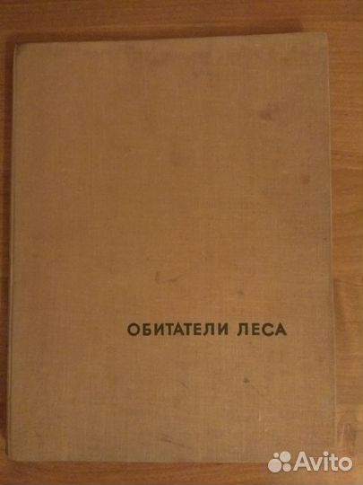 Влодзимеж Пухальский. Обитатели леса