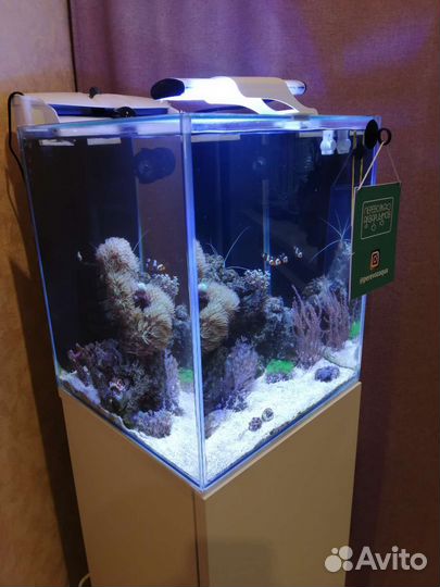 Перевозка морских аквариумов