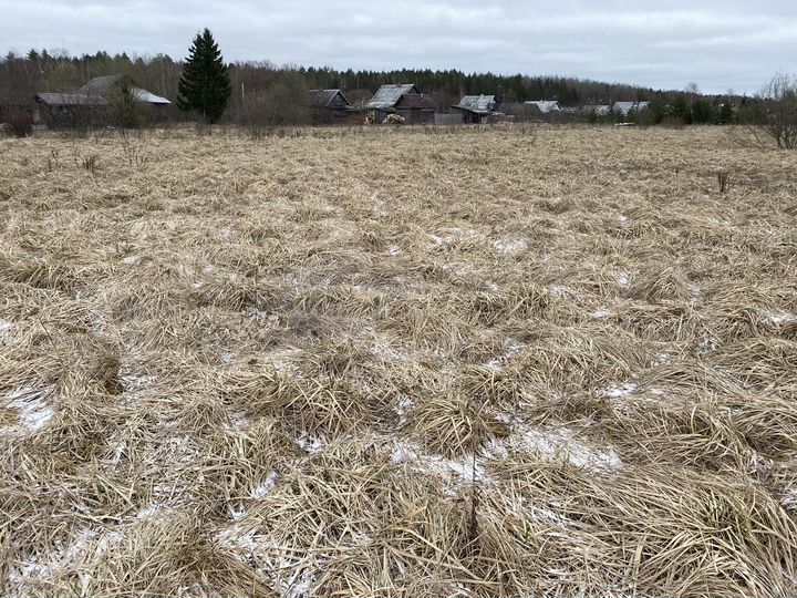 Участок 15 га (ИЖС)