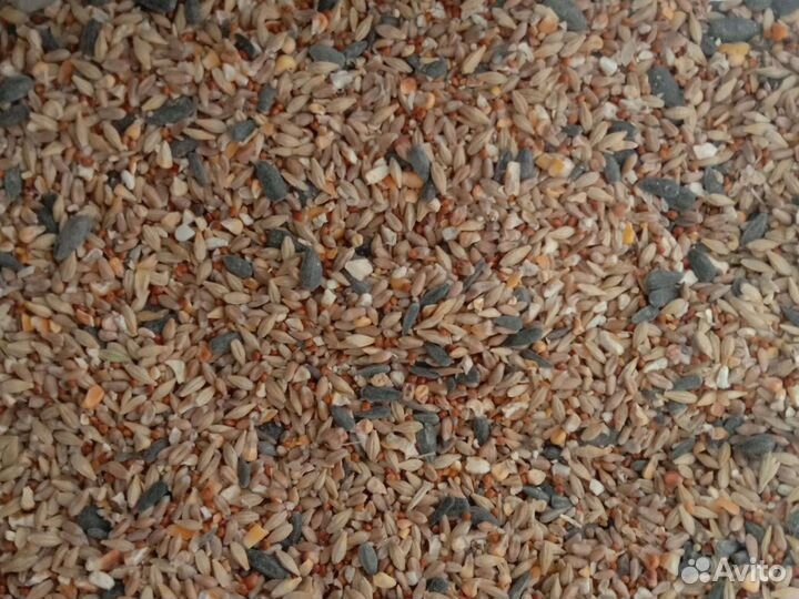 Зерносмесь, пшеница, овес, отруби, жом