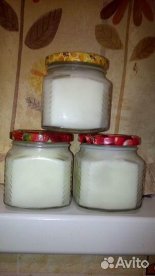 Барсучий жир