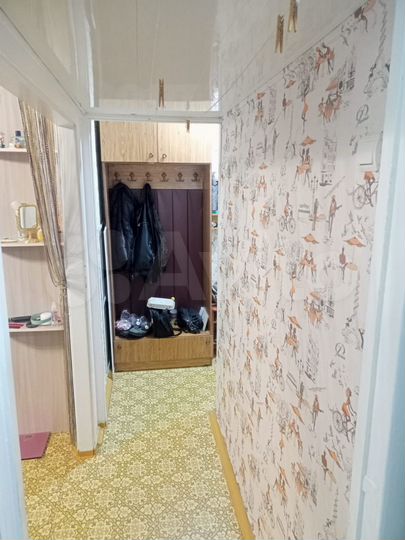 1-к. квартира, 31,1 м², 4/5 эт.