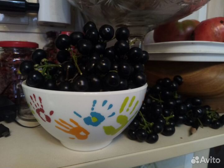 Семена санберри или черники-форте