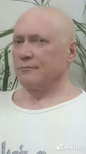 Ищу партнеров, инвесторов для проекта Долголетие