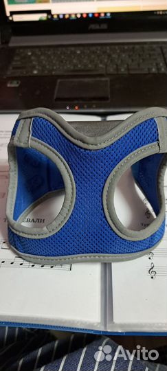 Продам шлейку-майку для собак или кошек