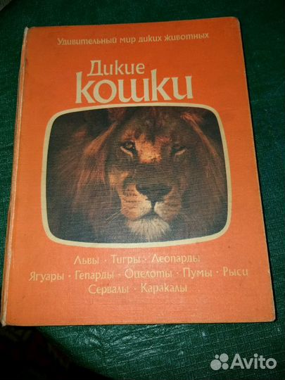Книга про диких кошек 1981 гола