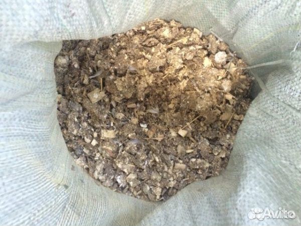 Голубиный помёт