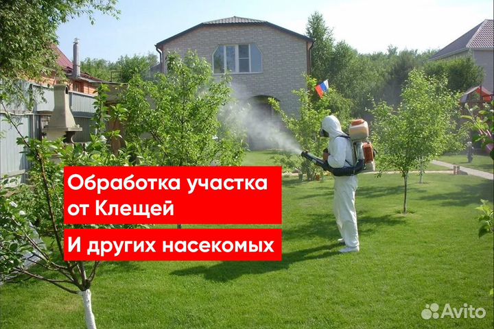 Уничтожение клопов, Уничтожение тараканов,Грызунов