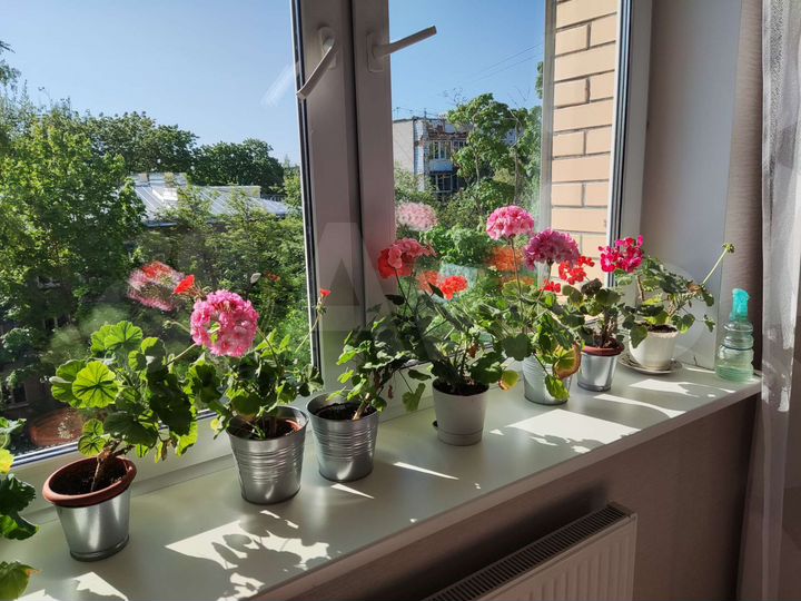 3-к. квартира, 91,2 м², 4/10 эт.