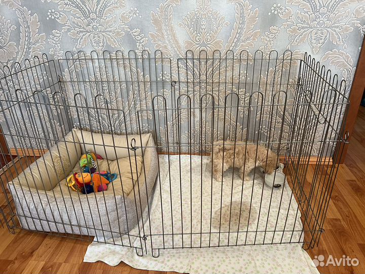 Вольер для животных