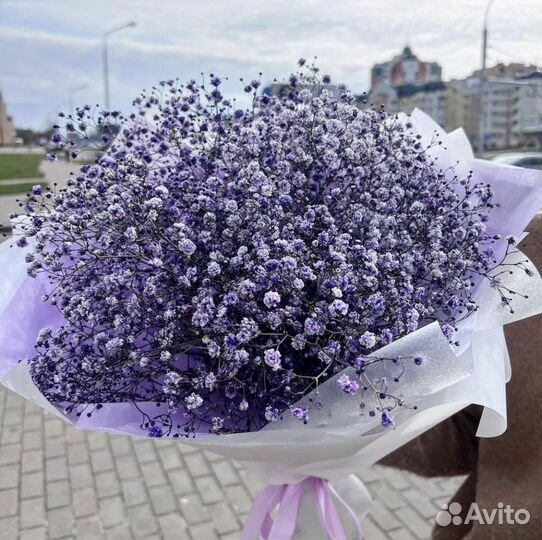 Гипсофила Букет Цветы Доставка 24/7