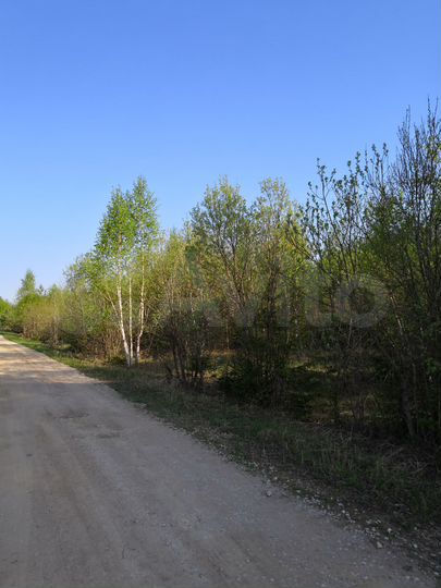 Участок 5,6 га (СНТ, ДНП)