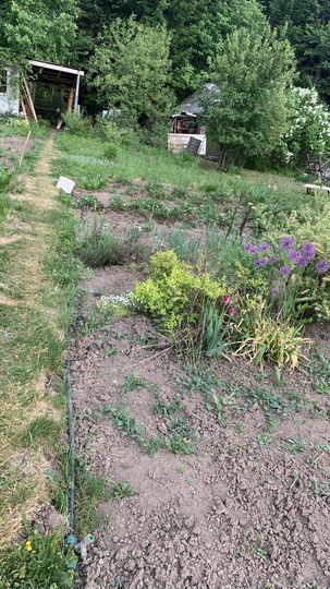 Участок 5 сот. (СНТ, ДНП)