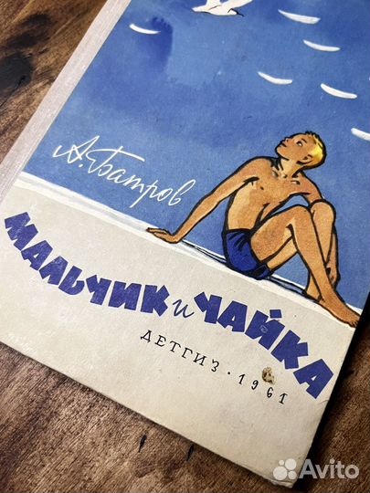 Мальчик и чайка Детгиз 1961г Батров А. М