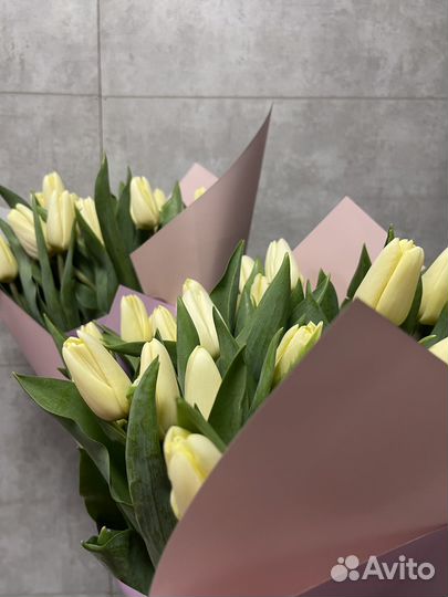 Тюльпаны к 8 марта