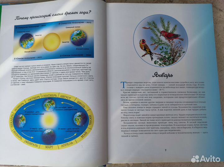 Две энциклопедии