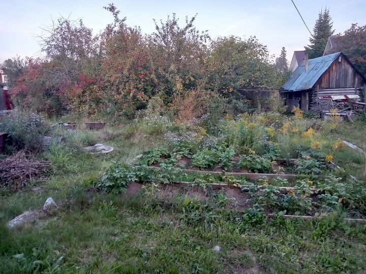 Дача 26,9 м² на участке 6 сот.