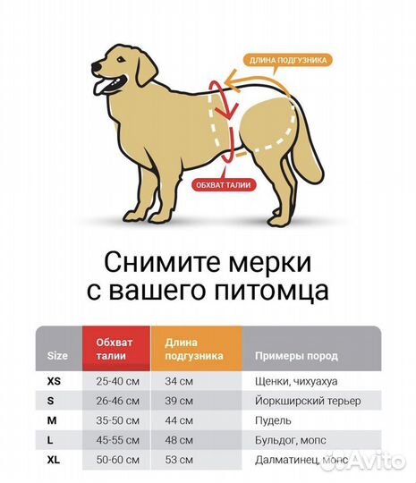Подгузники для собак