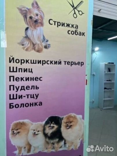 Груминг стрижка собак