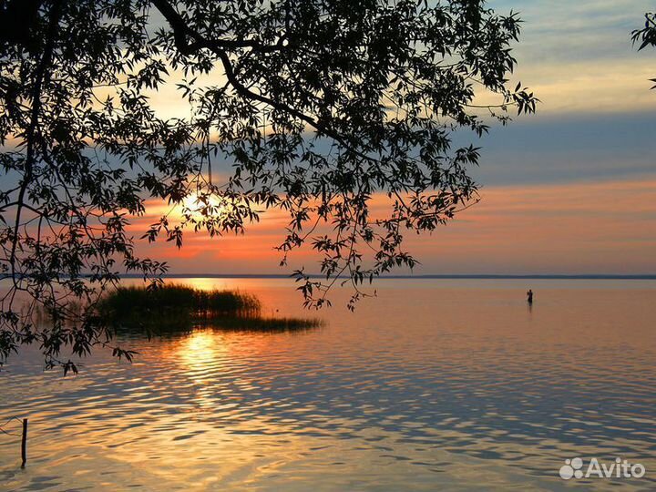 Экскурсия — Переславль-Залесский — Вкусные истории