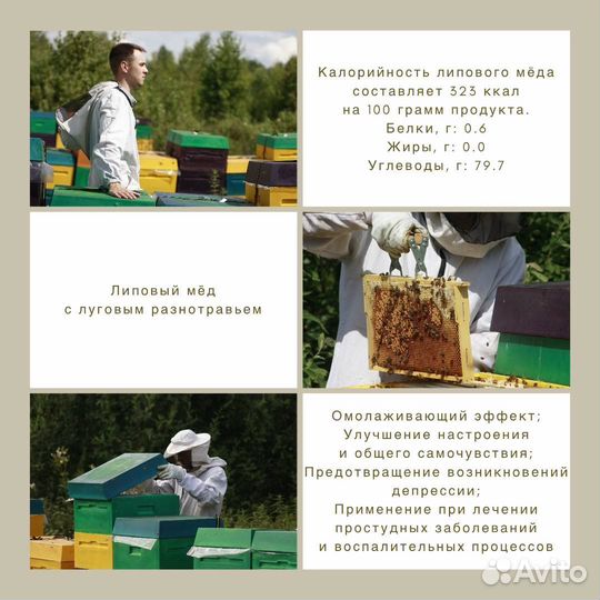 Липовый мед 2023