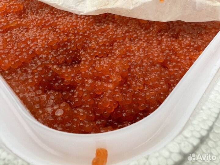 Икра Горбуши 2023 опт/розница