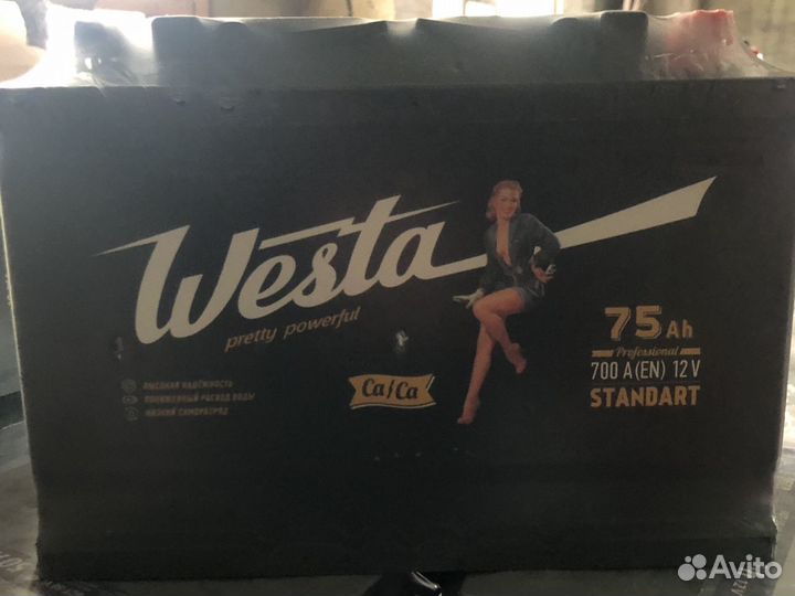 Аккумуляторы новые