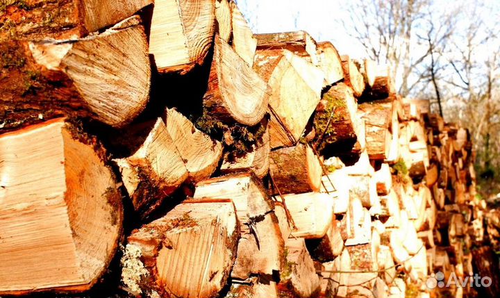 Дрова из ло