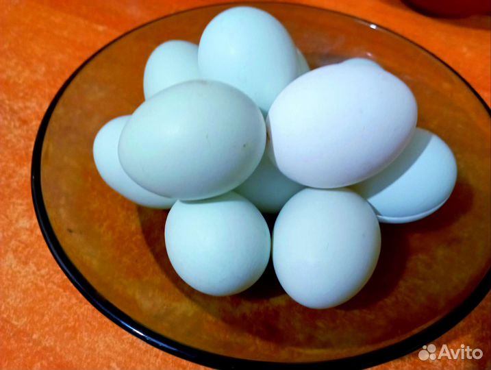 Яйцо куриное, домашние