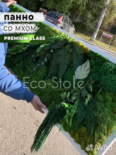 Картина со мхом в белой раме