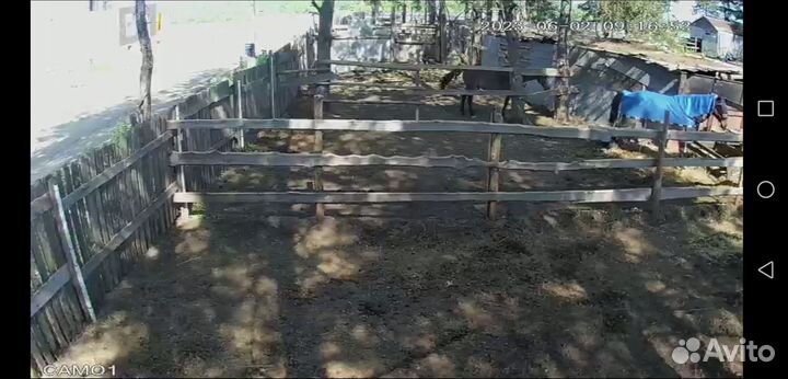 Постой для лошадей