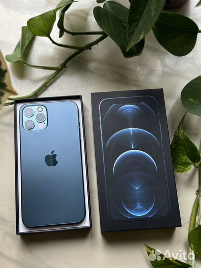 iPhone 12 Pro, 256 ГБ