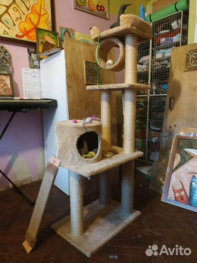 Дом когтеточка для кошки + подарки)