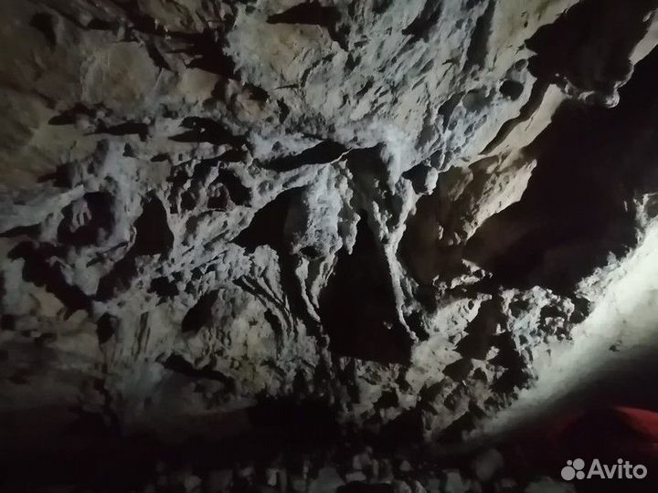 Экскурсия — Сочи — Знакомство с Воронцовскими пеще