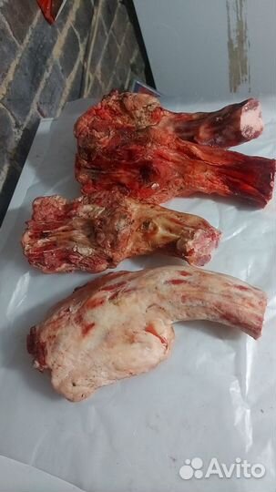 Корм для животных-собак