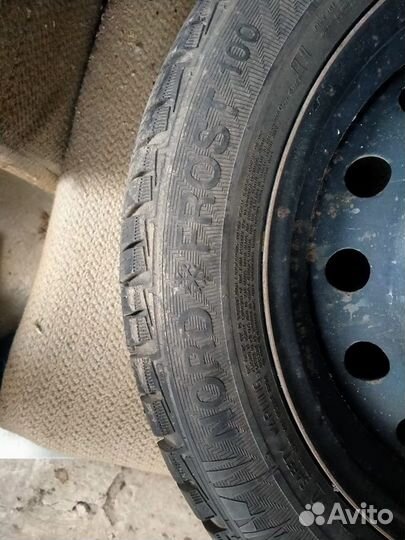 Gislaved NordFrost 100 205/55 R16
