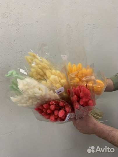 Сухоцветы оптом лагурус, лаванда, хлопок, пшеница