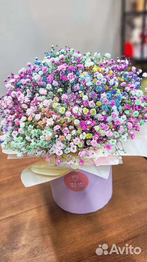 Гипсофила радужная