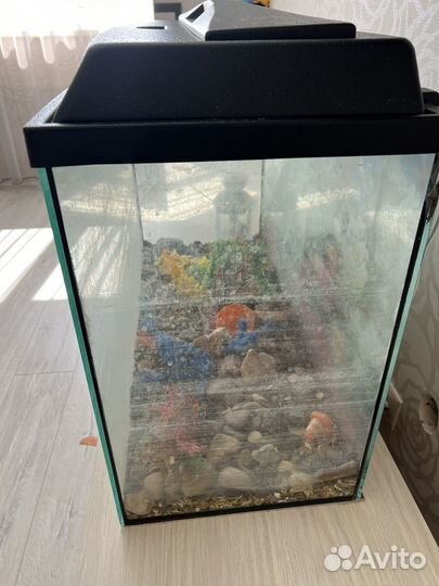 Аквариум с тумбой 100 литров