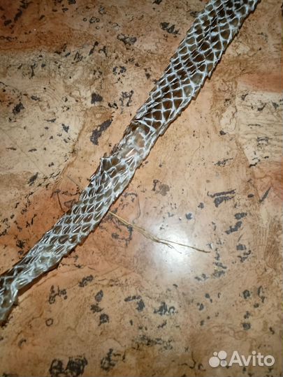 Линька,кожа