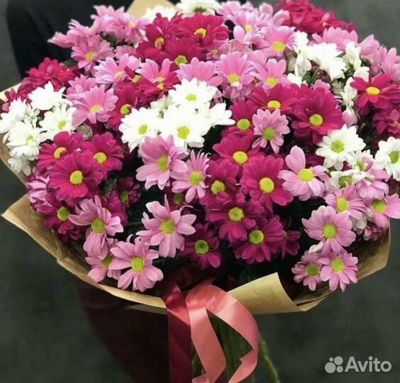 Хризантема