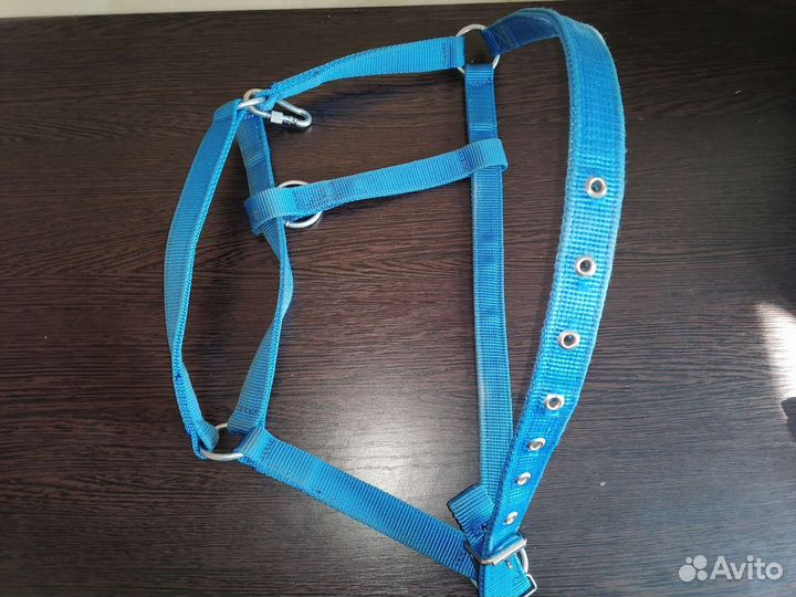 Недоуздок для лошади