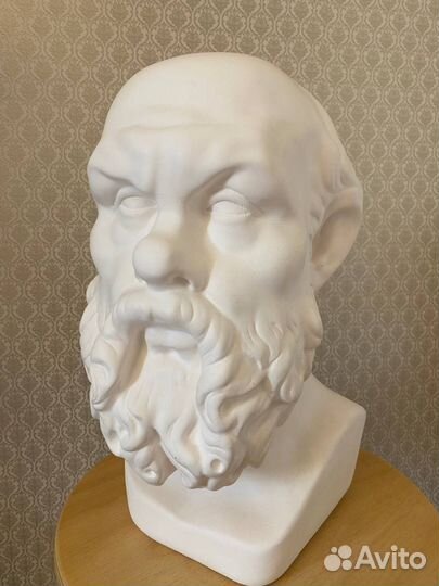 Гипсовая голова Антиной, Сократ