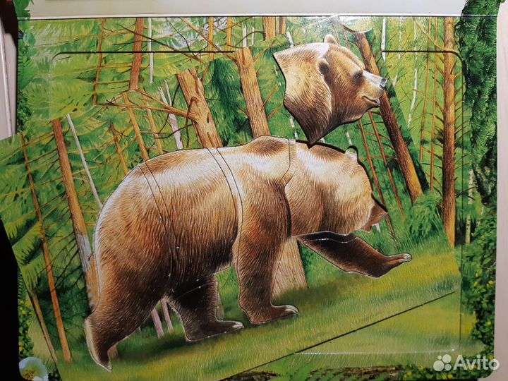 Книги с трафаретами