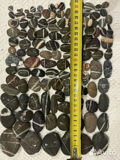Камешки морские 1 кг цена за всё