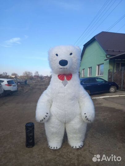 Белый мишка поздравление